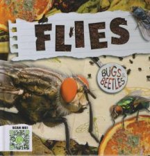 Bugs and Beetles Flies