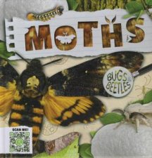 Bugs and Beetles Moths