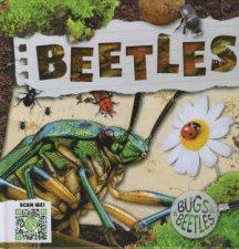 Bugs and Beetles Beetles
