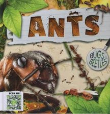 Bugs and Beetles Ants