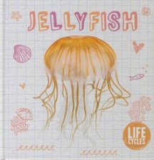 Life Cycles Jellyfish
