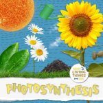 What Living Things Eat Photosynthesis