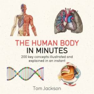 The Human Body In Minutes by Tom Jackson