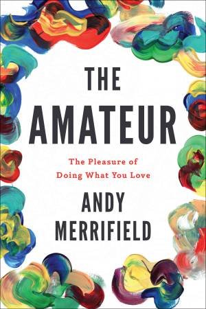 Amateur: The Pleasures of Doing What You Love by Andy Merrifield
