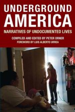 Underground America Narratives Of Undocumented Lives