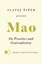 On Practice And Contradiction