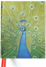 Sketch Book Peacock In Blue And Green