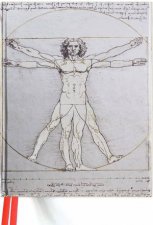 Sketch Books 20 Leonardo Da Vinci Vituvian Man