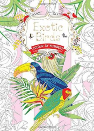 Exotic Birds Colour By Numbers by Daisy Seal