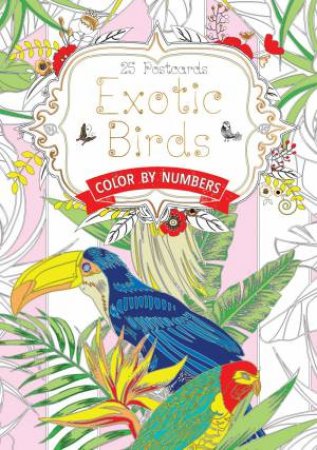 Exotic Birds Colour By Numbers by DAISY SEAL