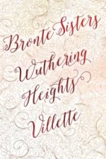 Bronte Sisters Deluxe Edition Wuthering HeightsVillette