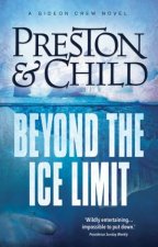 Beyond The Ice Limit