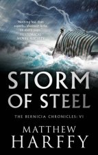 Storm Of Steel