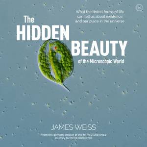 The Hidden Beauty Of The Microscopic World by James Weiss