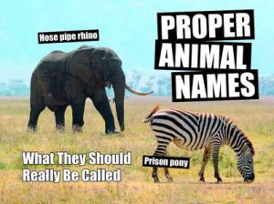 Proper Animal Names: What They Should Really Be Called by Spike Hudson