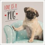Love Is A Pug A Pugtastic Celebration Of The Worlds Cutest Dogs