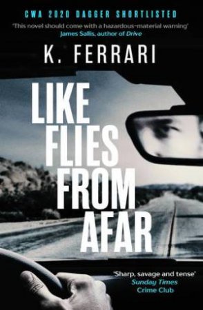 Like Flies From Afar by K. Ferrari & Adrian Nathan West
