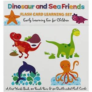 Flash Card Learning Set: Dinosaur & Friends