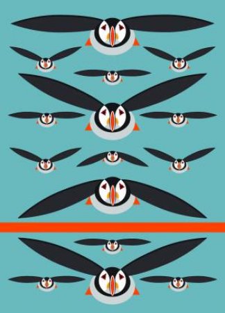 I Like Birds: Blackbird Spot & Jot by I Like Birds