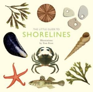 The Little Guide to Shorelines by Alison Davies & Tom Frost