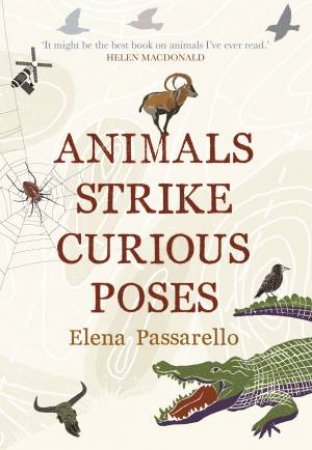 Animals Strike Curious Poses by Elena Passarello