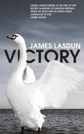 Victory by James Lasdun
