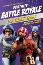 Fortnite Battle Royale Pro Gamer Guide