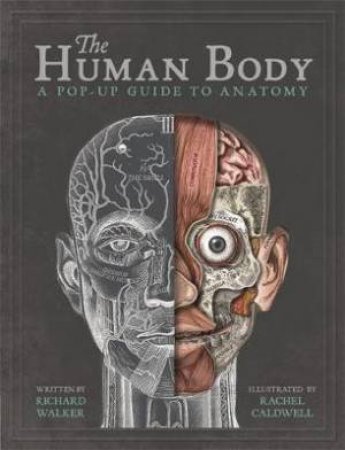 The Human Body by Richard Walker & Rachel Caldwell