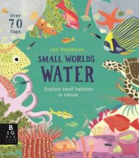 Small Worlds Water