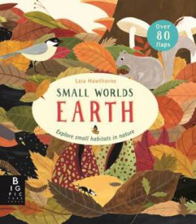 Small Worlds: Earth by Lara Hawthorne & Camilla de la Bedoyere
