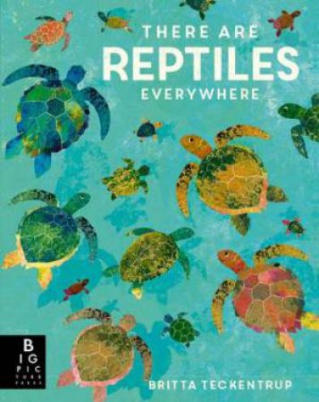 There Are Reptiles Everywhere by Britta Teckentrup & Camilla de la Bedoyere