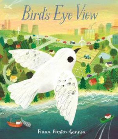 A Bird's Eye View by Frann Preston-Gannon