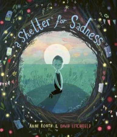 A Shelter For Sadness by David Litchfield & Anne Booth
