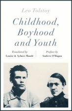 Childhood Boyhood And Youth