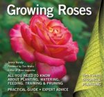 Growing Roses Plan Plant And Maintain