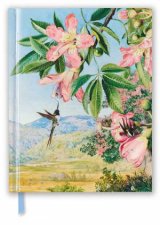 Sketch Book Kew Gardens Foliage And Flowers By Marianne North