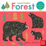 Animal Families Forest