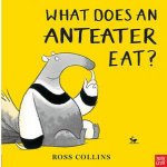 What Does An Anteater Eat
