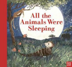 All The Animals Were Sleeping by Clare Helen Welsh