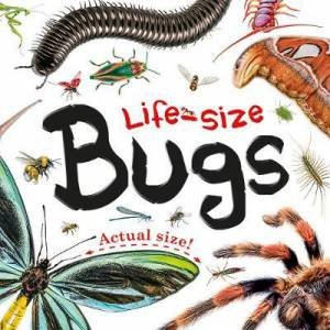 Life-Size: Bugs by Various