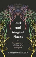 Dark And Magical Places