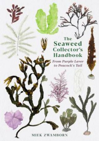 The Seaweed Collector's Handbook by Miek Zwamborn & Michele Hutchison