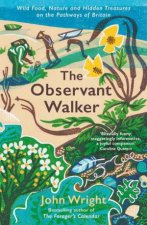 The Observant Walker