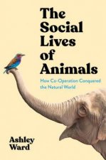 The Social Lives Of Animals