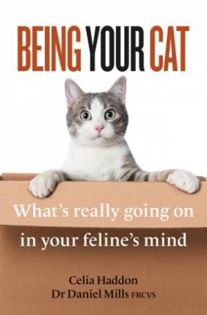 Being Your Cat by Celia Haddon & Daniel Mills & FRCVS