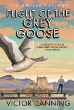 Flight Of The Grey Goose