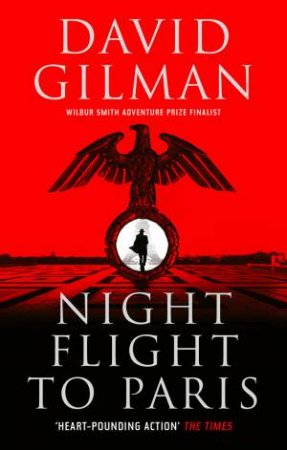 Night Flight To Paris by David Gilman