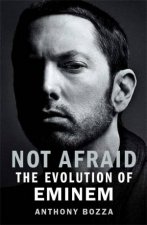 Not Afraid The Evolution Of Eminem