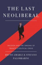 The Last Neoliberal Macron And The Origins Of Frances Political Crisis