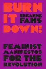 Burn It Down Feminist Manifestos For The Revolution
